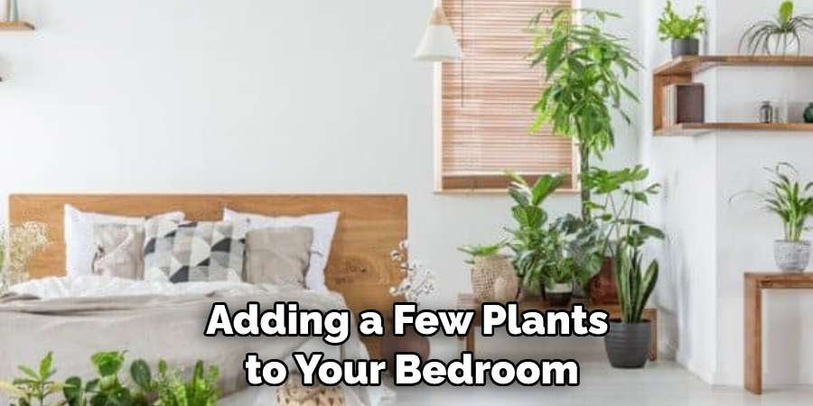Adding a Few Plants to Your Bedroom