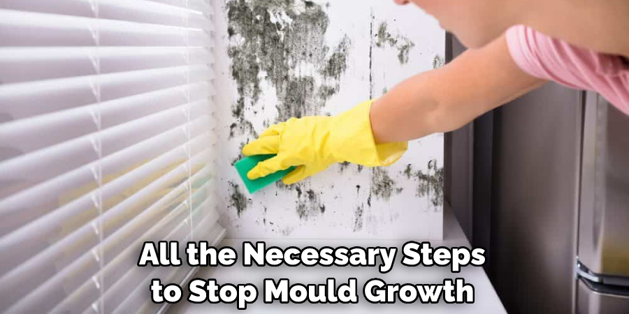 All the Necessary Steps to Stop Mould Growth