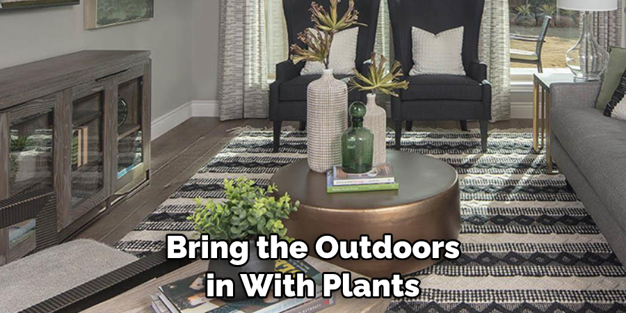 Bring the Outdoors in With Plants