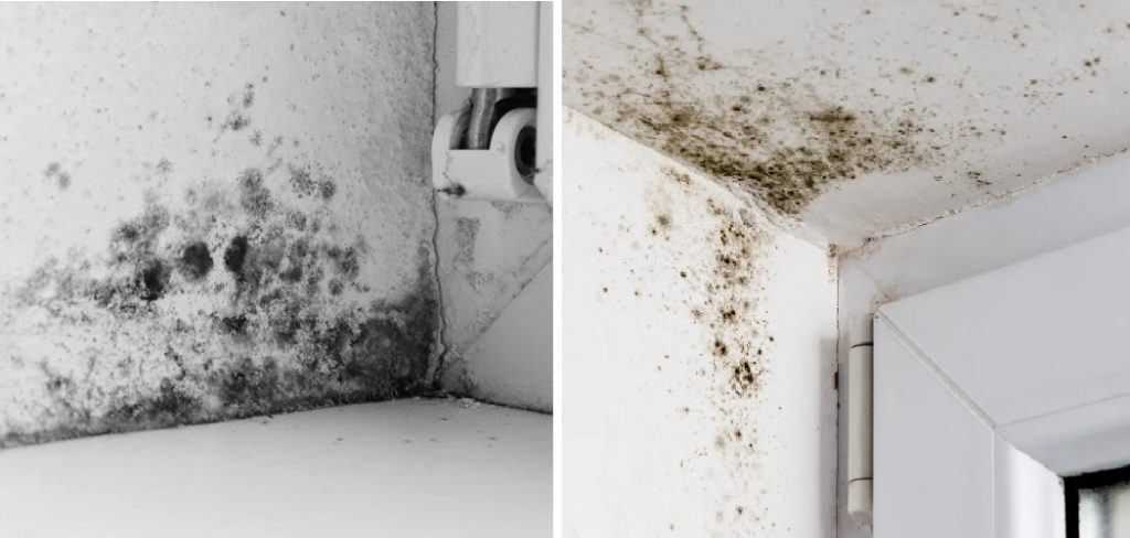 How to Stop Mould in Bedroom in Winter