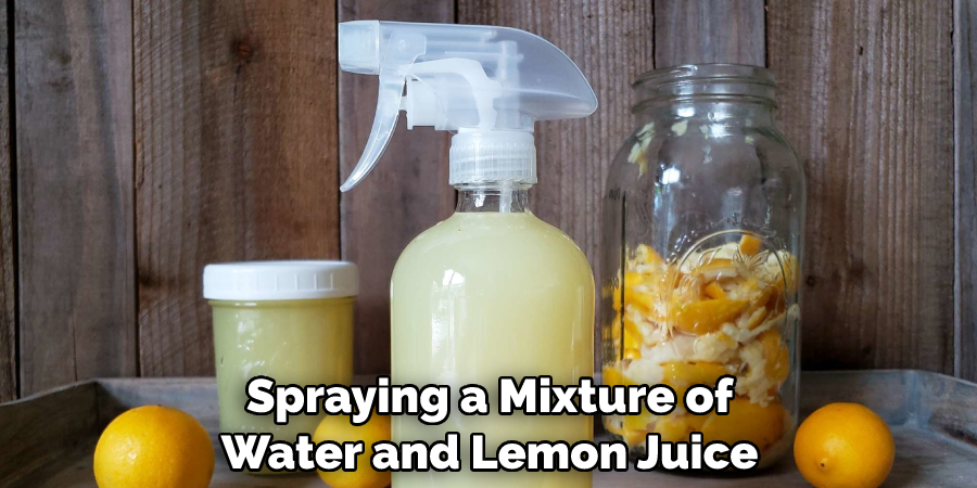 Spraying a Mixture of Water and Lemon Juice