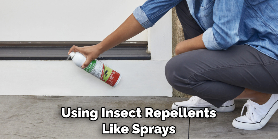 Using Insect Repellents Like Sprays