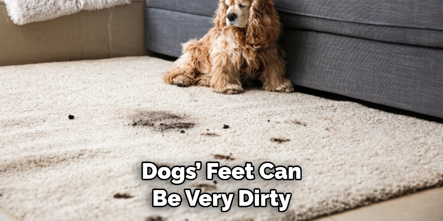  Dogs’ Feet Can Be Very Dirty