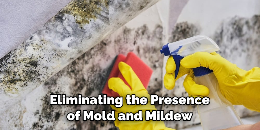  Eliminating the Presence of Mold and Mildew