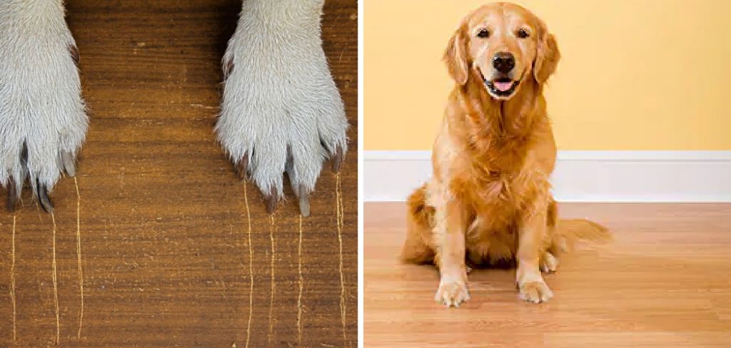 How to Protect Wood Floors from Dogs
