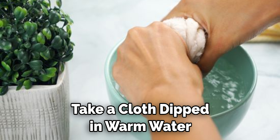 Take a Cloth Dipped in Warm Water 