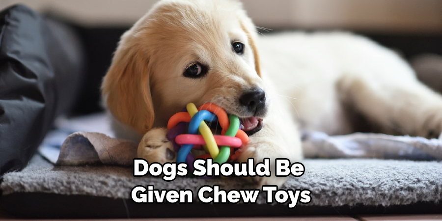 Dogs Should Be Given Chew Toys