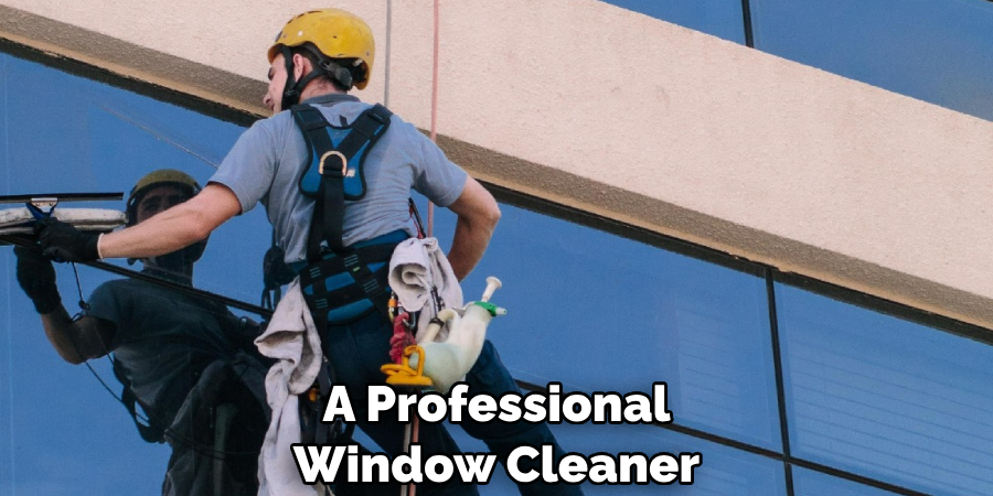 A Professional Window Cleaner