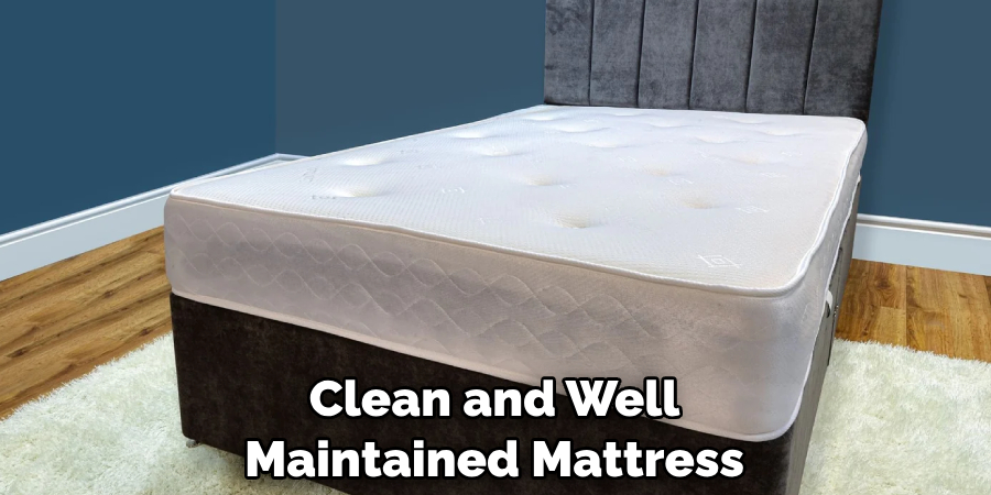 Clean and Well Maintained Mattress