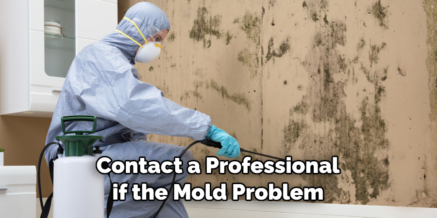 Contact a Professional if the Mold Problem