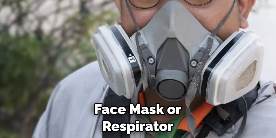 Face Mask or Respirator