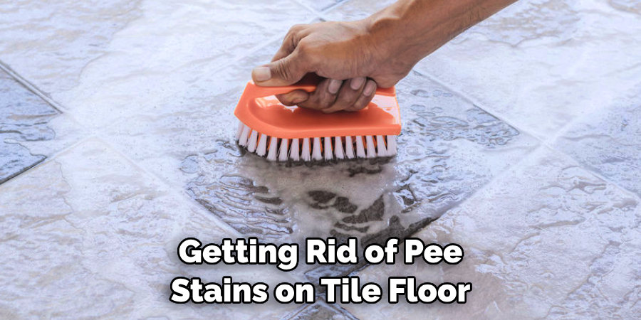 Getting Rid of Pee Stains on Tile Floor