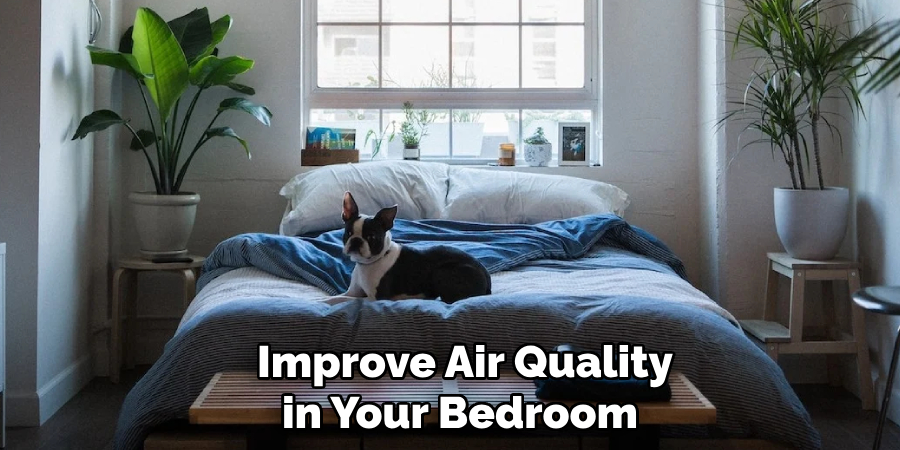  Improve Air Quality in Your Bedroom