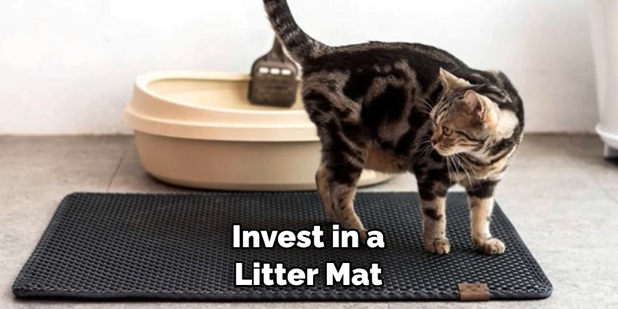 Invest in a Litter Mat