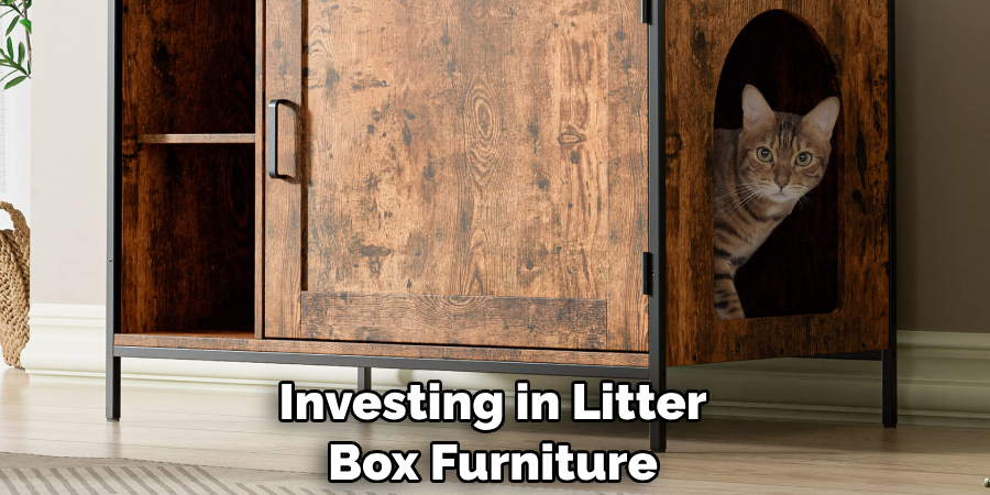 Investing in Litter Box Furniture