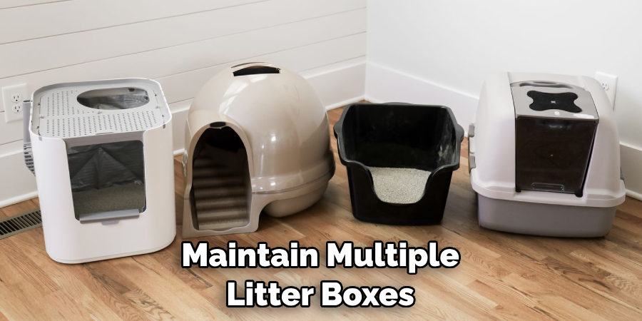 Maintain Multiple Litter Boxes