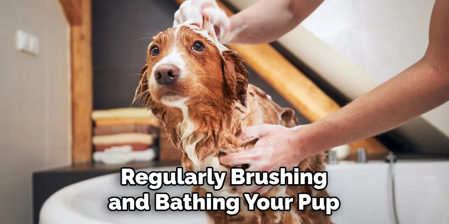 Regularly Brushing and Bathing Your Pup