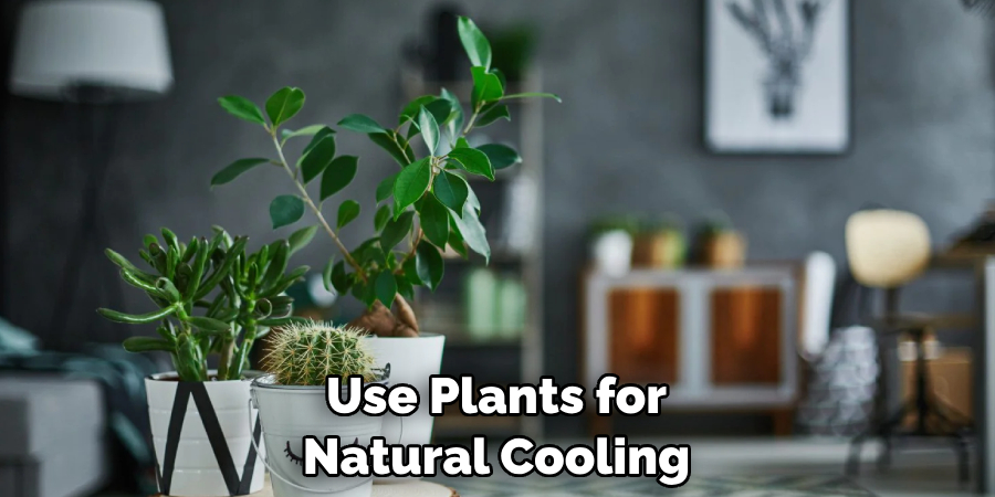 Use Plants for Natural Cooling