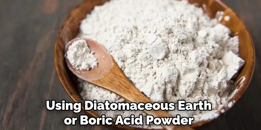 Using Diatomaceous Earth or Boric Acid Powder