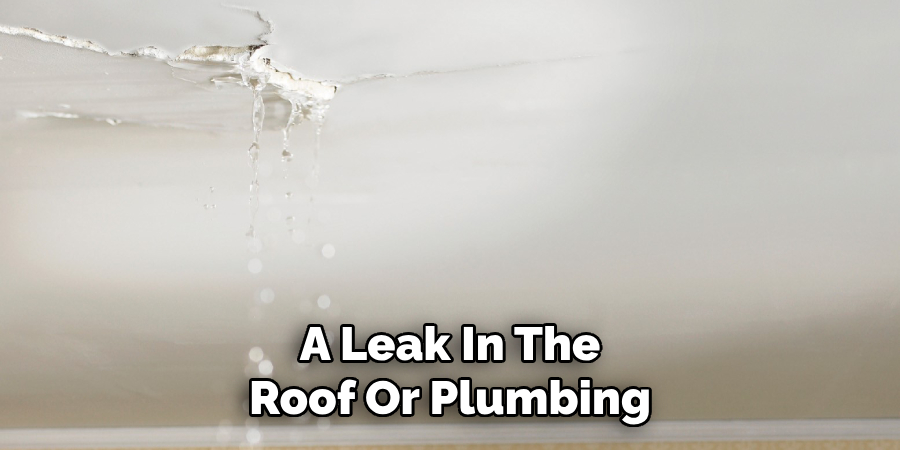 A Leak In The Roof Or Plumbing