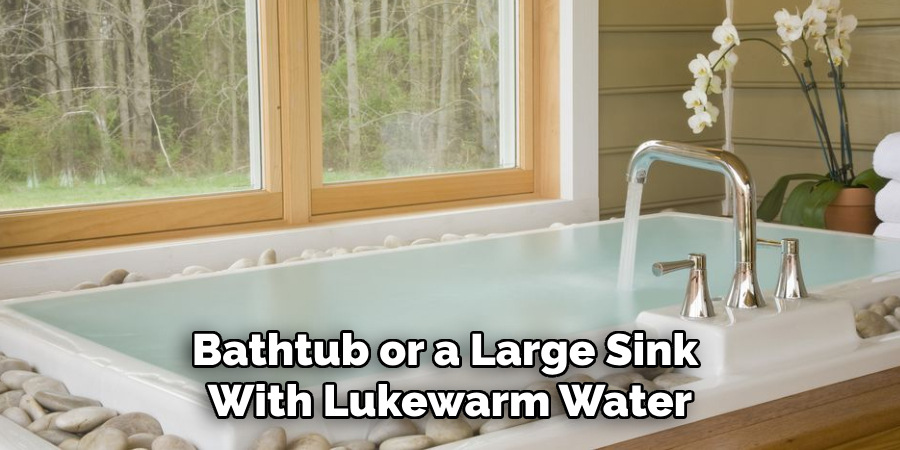 Bathtub or a Large Sink With Lukewarm Water