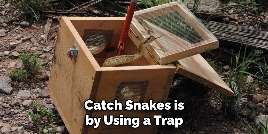 Catch Snakes is by Using a Trap
