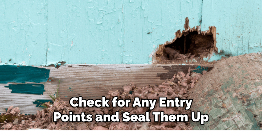 Check for Any Entry Points and Seal Them Up