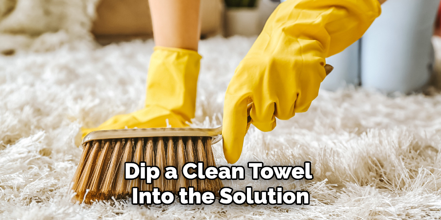 Dip a Clean Towel Into the Solution