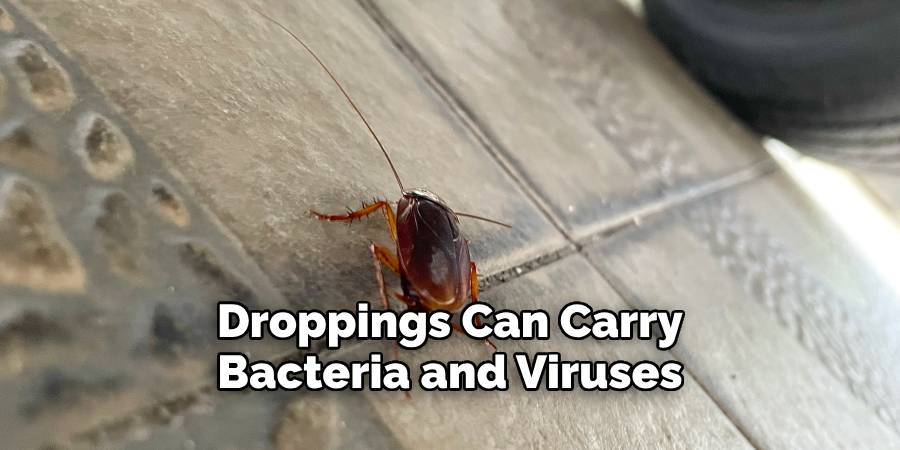 Droppings Can Carry Bacteria and Viruses