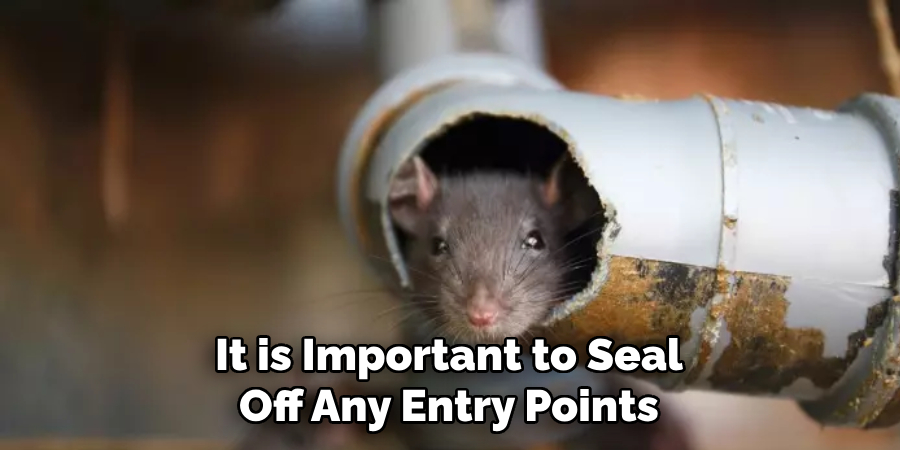 It is Important to Seal Off Any Entry Points