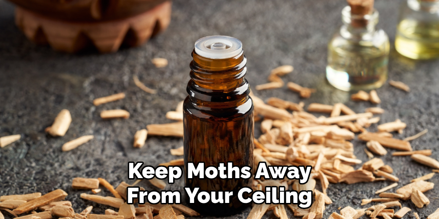 Keep Moths Away From Your Ceiling