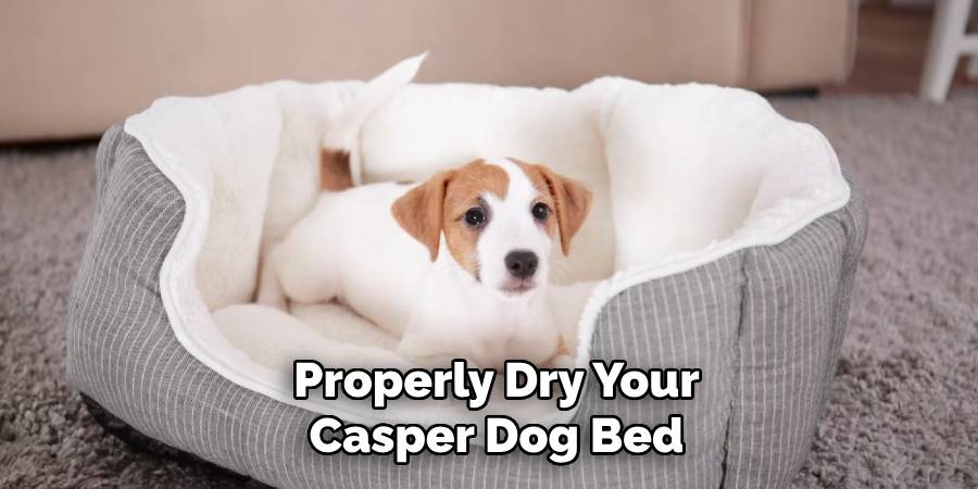 Properly Dry Your Casper Dog Bed
