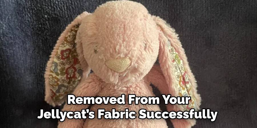 Removed From Your Jellycat’s Fabric Successfully 