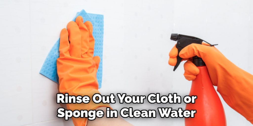 Rinse Out Your Cloth or Sponge in Clean Water
