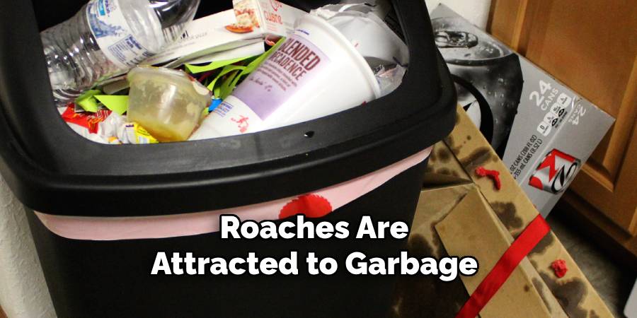 Roaches Are Attracted to Garbage