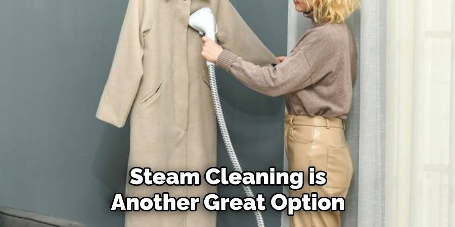 Steam Cleaning is Another Great Option