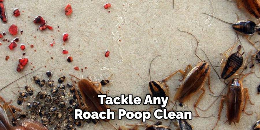 Tackle Any Roach Poop Clean