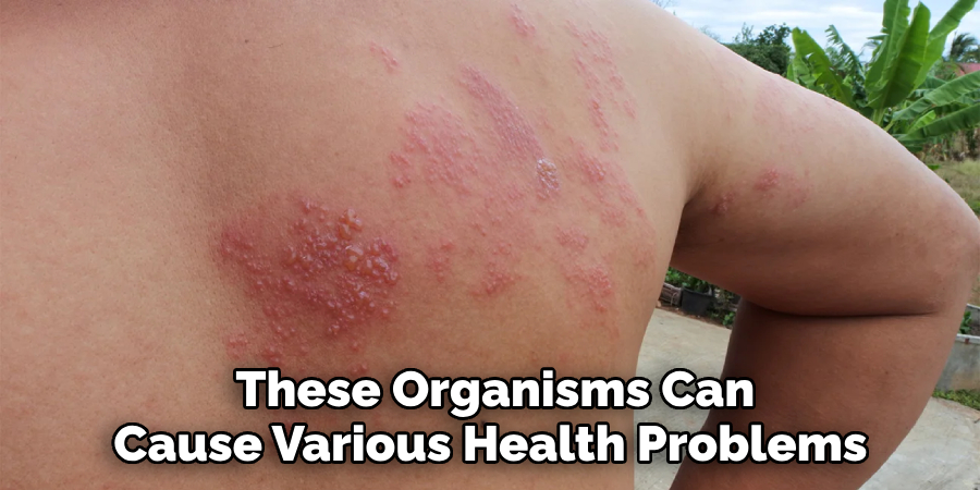  These Organisms Can Cause Various Health Problems