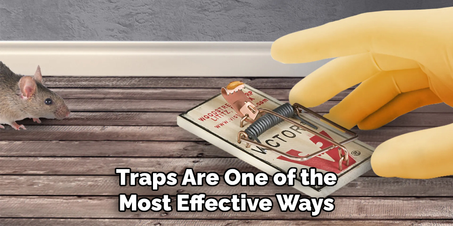 Traps Are One of the Most Effective Ways