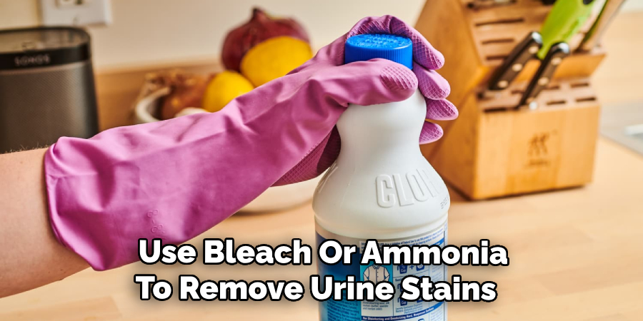  Use Bleach Or Ammonia To Remove Urine Stains 