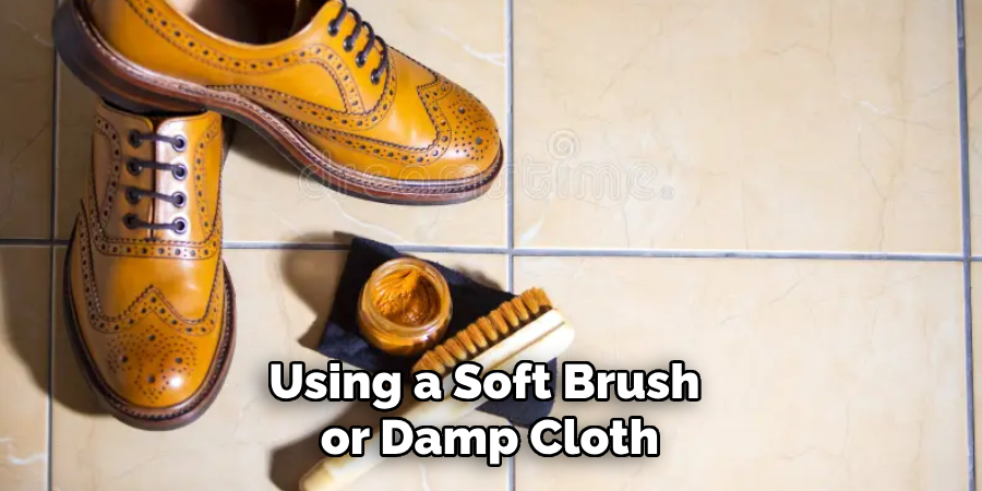 Using a Soft Brush or Damp Cloth