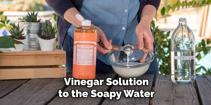 Vinegar Solution to the Soapy Water