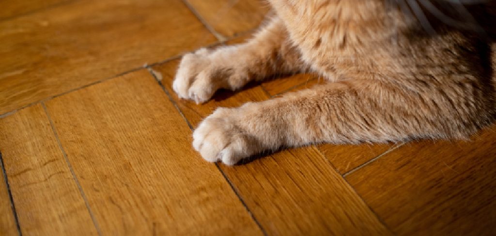How to Get Rid of Pet Odor in Hardwood Floors