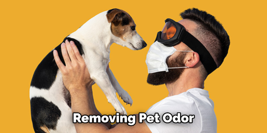 Removing Pet Odor