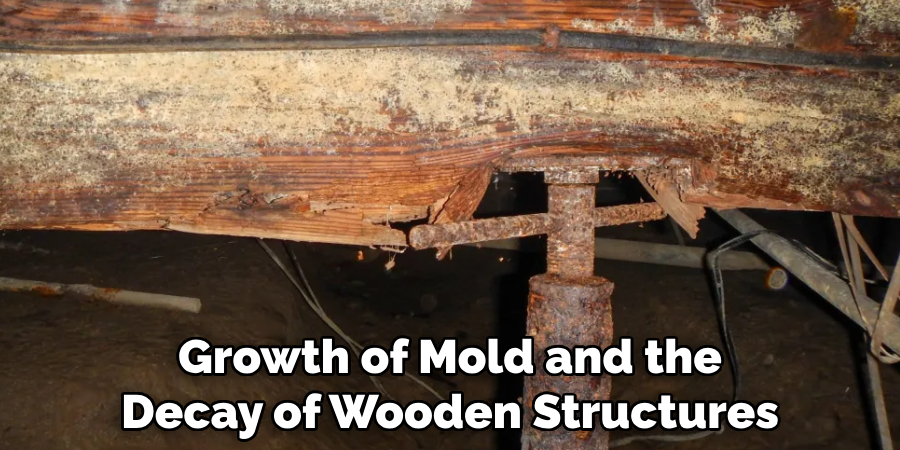 Growth of Mold and the Decay of Wooden Structures
