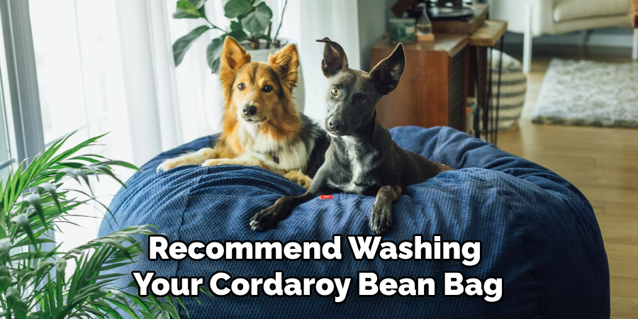 Recommend Washing Your Cordaroy Bean Bag