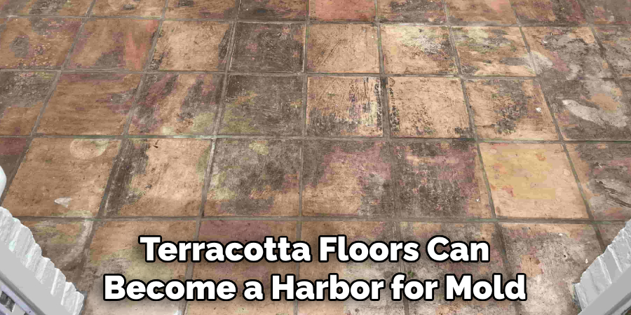 Terracotta Floors Can Become a Harbor for Mold