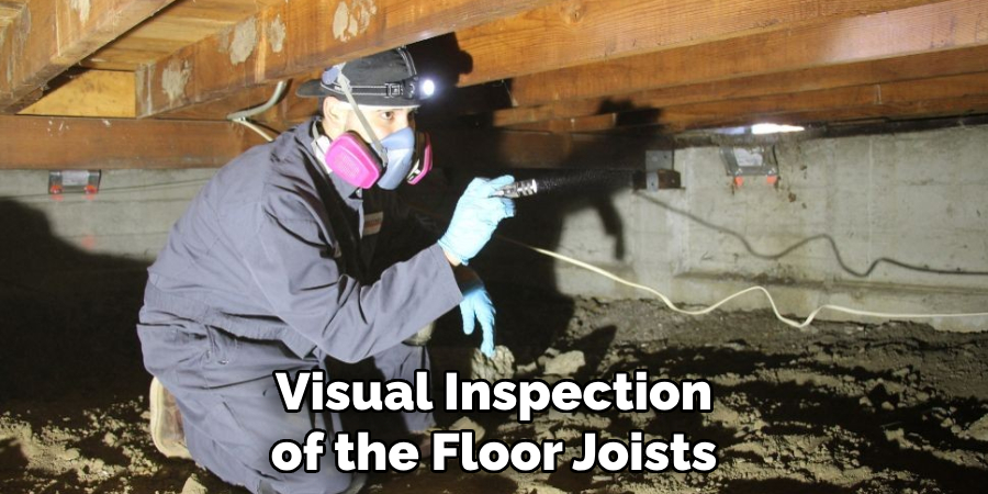 Visual Inspection of the Floor Joists