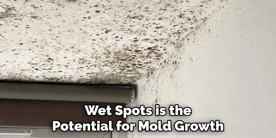 Wet Spots is the Potential for Mold Growth