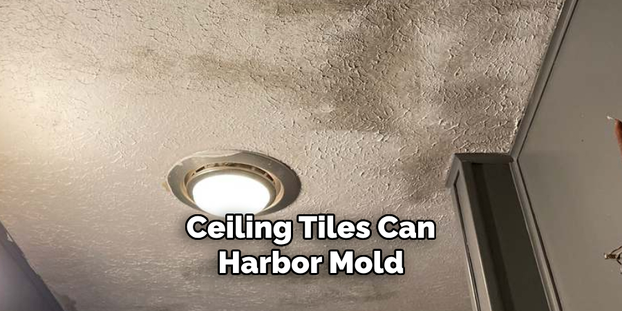 Ceiling Tiles Can Harbor Mold